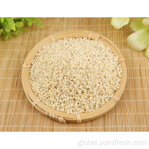 Sorghum Rice Rice Sorghum Factory